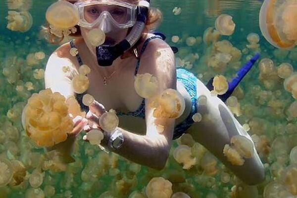 Keindahan Pulau Derawan, Surga dunia dari Borneo