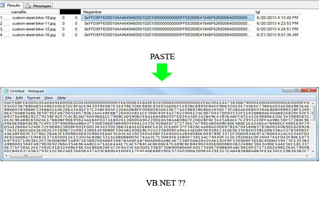 Help Gan VB.NET Gambar Ke Varbinarymax disimpan ke file TXT