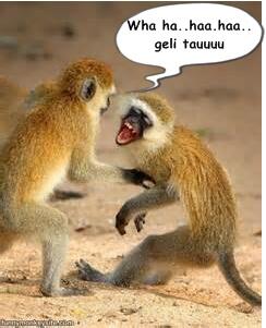 Cara Belajar Yang Extrem..?