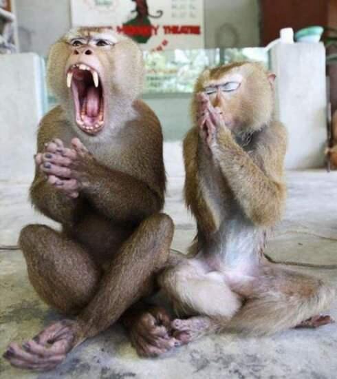 Cara Belajar Yang Extrem..?