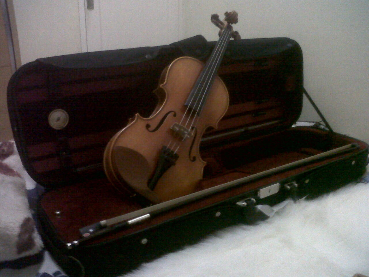 Dijual Biola (Violin) Eastman VL200