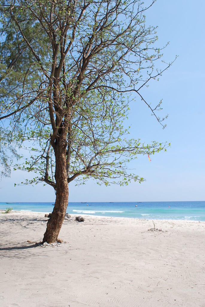 Gili Trawangan Yang Mempesona