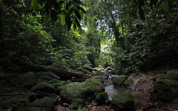 Petualang Indonesia Wajib Mendaki Gunung-Gunung Ini..!