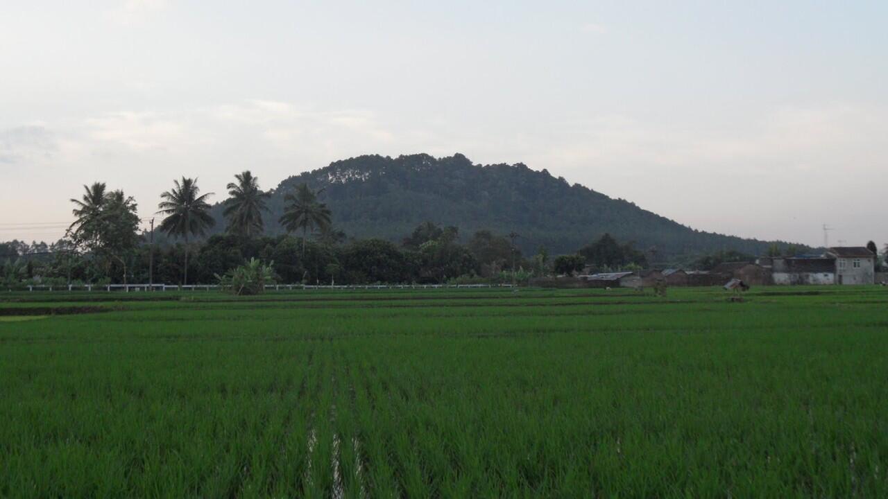 Gunung TIDAR 