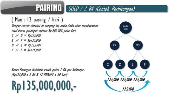 mlm terbaru perusahaan baru peluang lebih besar