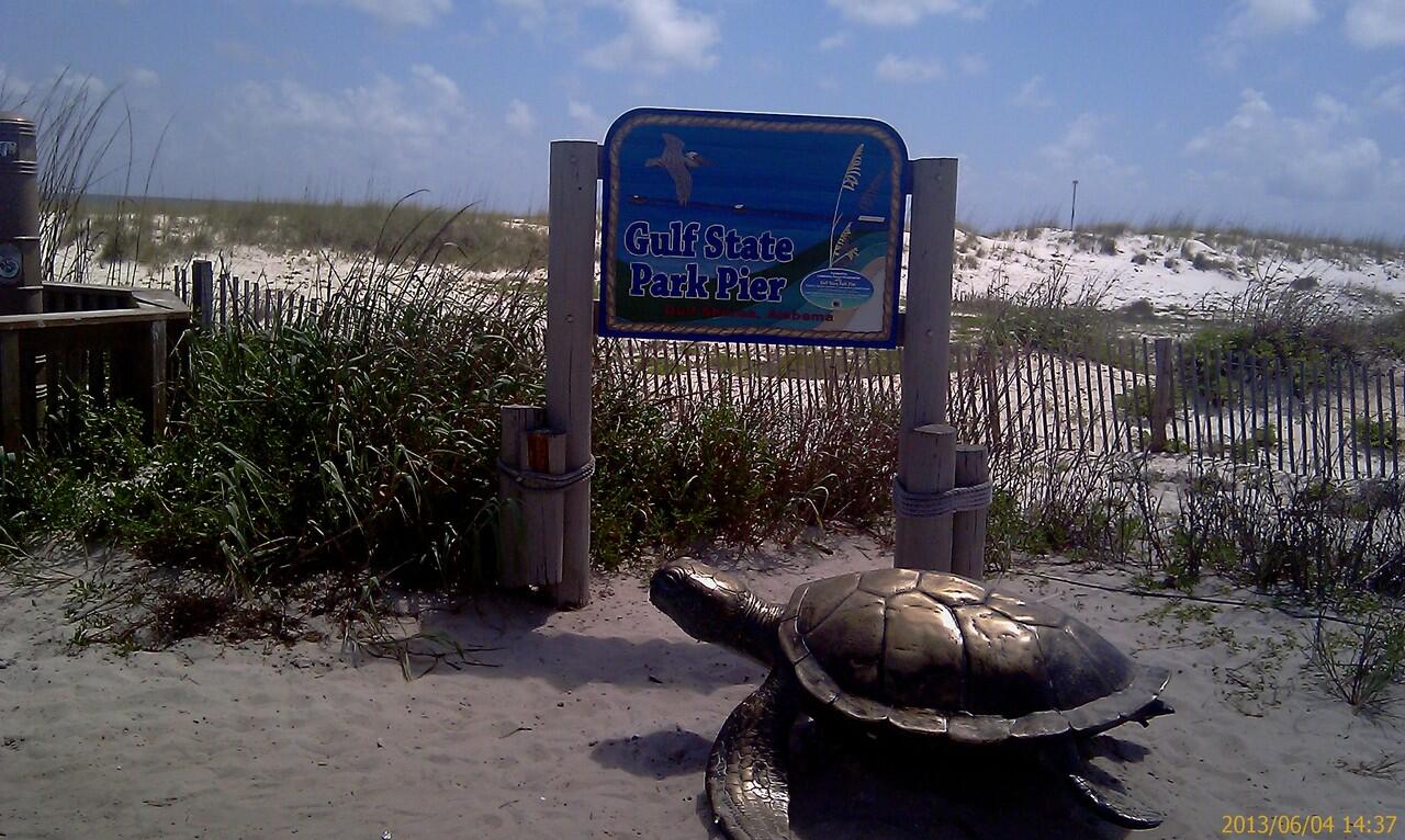 Tour Guide Southeast USA area - Florida-Georgia-North Carolina-South Carolina-Tenness