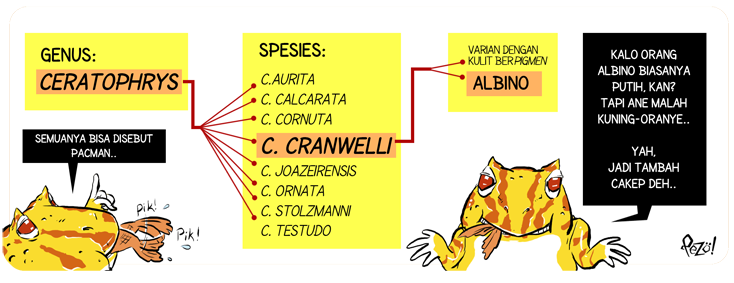 &#91;Info Hewan Bergambar + Komik!&#93; - Albino Pacman