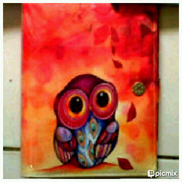 binder owl