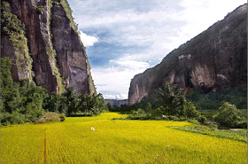 Keindahan Lembah Harau