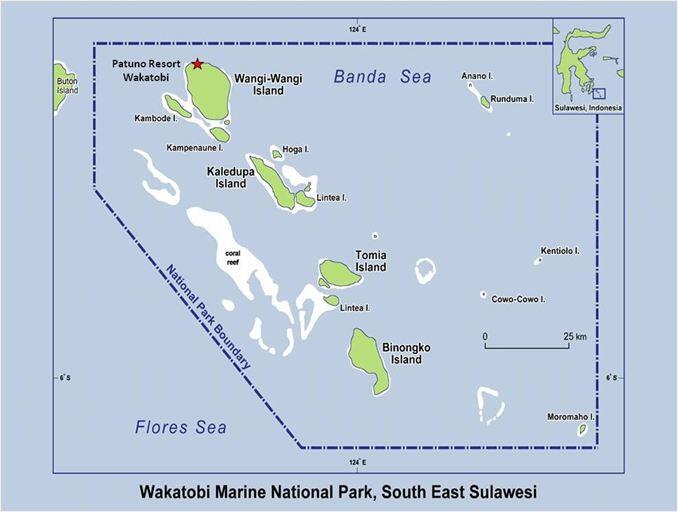 Wakatobi Surga bawah laut