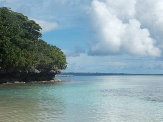 Wakatobi Surga bawah laut