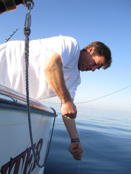 All About WICKED TUNA - ©volumee1