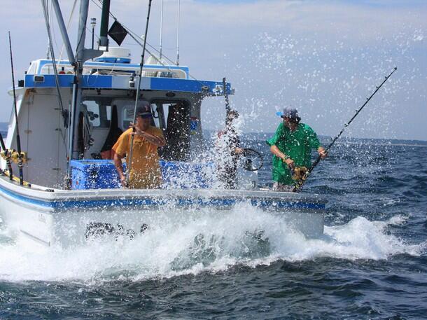 All About WICKED TUNA - ©volumee1