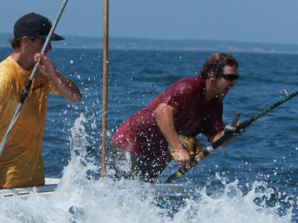 All About WICKED TUNA - ©volumee1