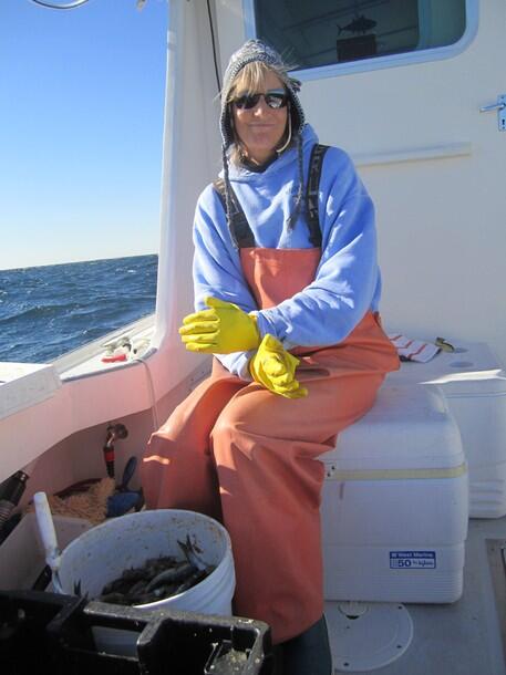 All About WICKED TUNA - ©volumee1