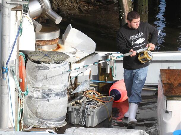 All About WICKED TUNA - ©volumee1
