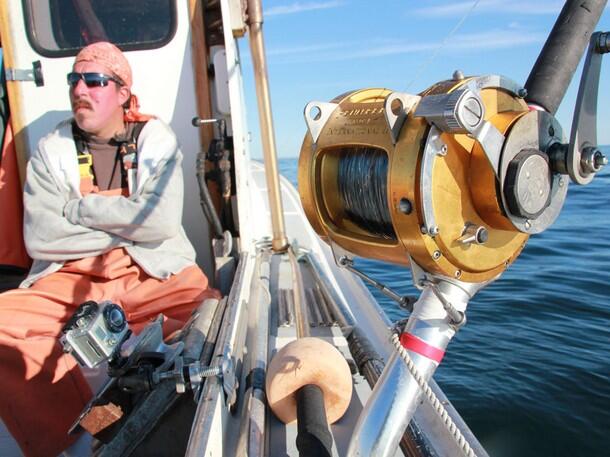 All About WICKED TUNA - ©volumee1