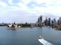 Kenapa Investor Indonesia Tertarik Properti di Sydney, Ini Alasannya!