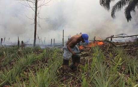 ini dia 7 Fakta seputar Dampak Asap Kabut yg menyebar hingga malaysia and singapura!!
