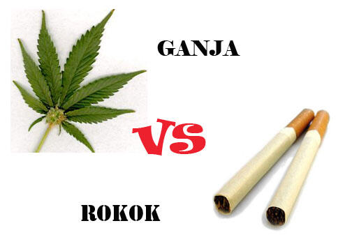 GANJA VS ROKOK