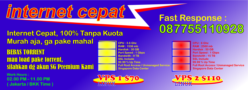 Internet Cepat SSH Premium ( ISP USA, DC Singapura ) dg VPS 1 Gbps Port Speed