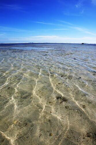 Open Trip To Ujung Genteng (Non Profit Oriented) 16-18 Agustus 2013