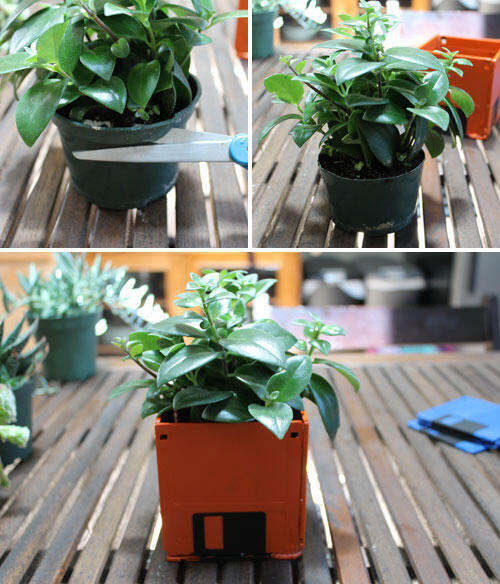 :: EXPRESS YOUR GREEN STYLE :: DIY Pot Floppy 