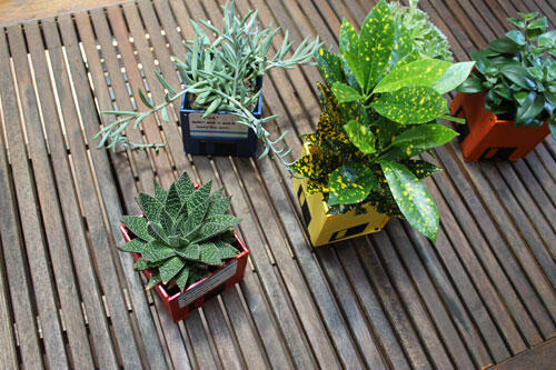 :: EXPRESS YOUR GREEN STYLE :: DIY Pot Floppy 