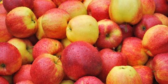 Ternyata Apel bermanfaat dan penting banget gan bagi kesehatan. yg mau sehat masuppp!