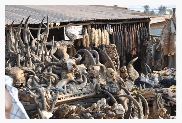 Ini Gan Tempat Belanja Sehari-hari Para Ahli Voodo