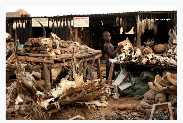 Ini Gan Tempat Belanja Sehari-hari Para Ahli Voodo