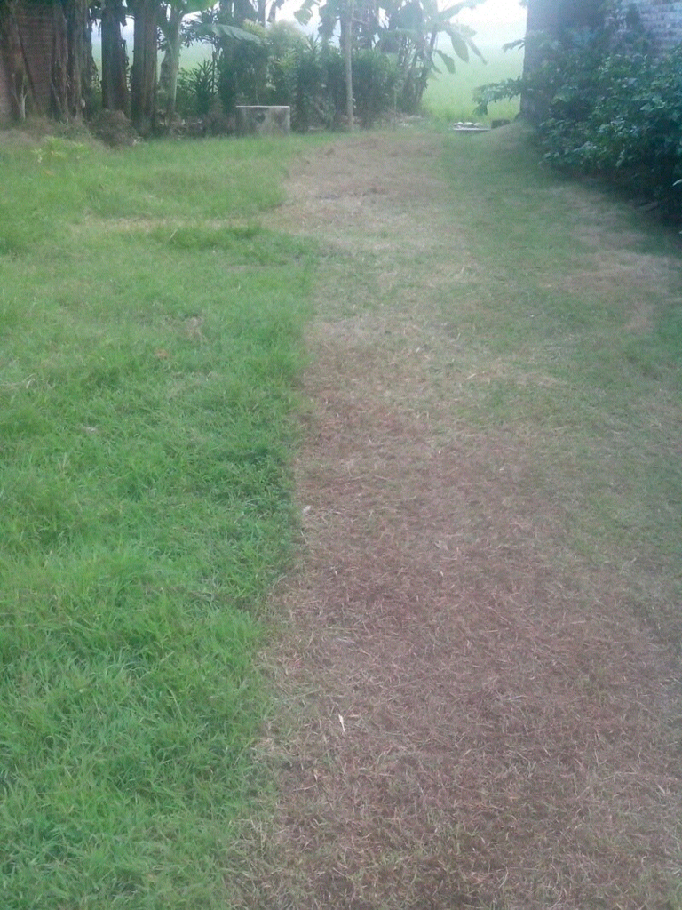 Pemotong Rumput Pisau BESI. Bisa diCHARGE. Tanpa bahan bakar minyak. Ramah Lingkungan