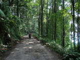 Curung Ngumpet, Gunung Salak &#91;PIC&#93;