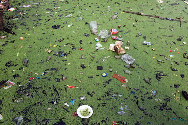 Toxic Waters: Photographing the Severe Pollution in Jakarta, Indonesia 