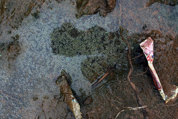 Toxic Waters: Photographing the Severe Pollution in Jakarta, Indonesia 