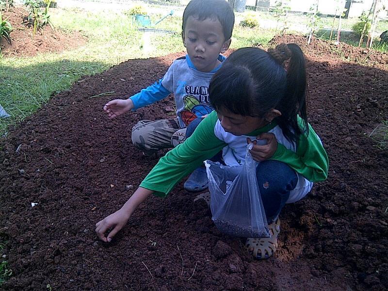 &#91;FR&#93; Kegiatan Bekasi Berkebun