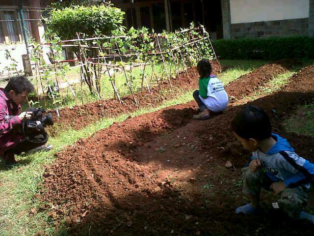 &#91;FR&#93; Kegiatan Bekasi Berkebun