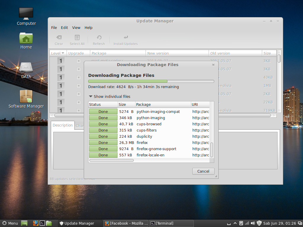 Linux Mint 15