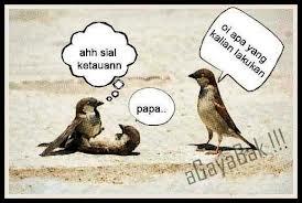 ketahuan deh....(BB+ koplak)