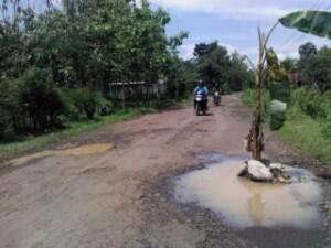 POHON PISANG (simbol protes masyarakat kecil kepada penguasa)