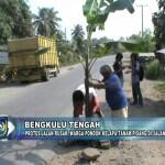 POHON PISANG (simbol protes masyarakat kecil kepada penguasa)