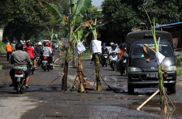 POHON PISANG (simbol protes masyarakat kecil kepada penguasa)