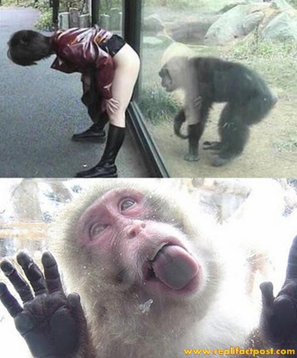 wanita Wanita Asia Gokil hot (Pict ++)