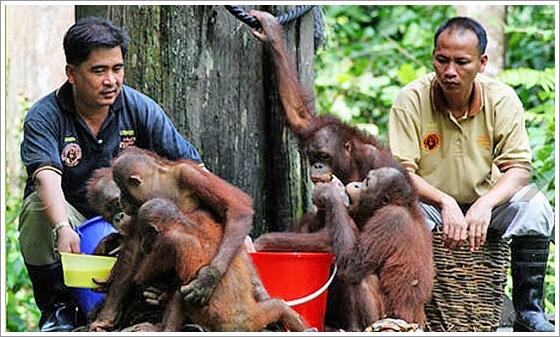 7 Suaka Margasatwa Terbaik Di Dunia