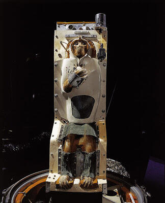 10 Hewan yang Pernah Jadi Astronot ( No BB )