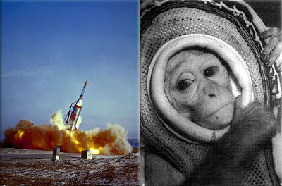 10 Hewan yang Pernah Jadi Astronot ( No BB )