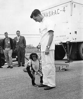 10 Hewan yang Pernah Jadi Astronot ( No BB )