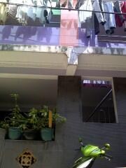 rumah jelambar only 440juta