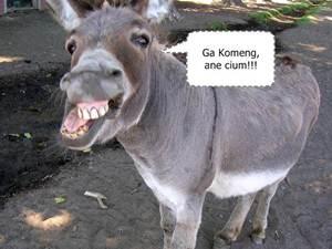 Masakkan Nusantara yang Mirip-mirip