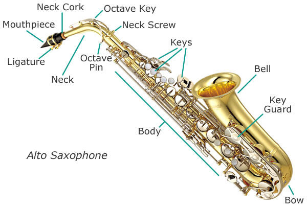 SHARING ABOUT SAXOPHONE